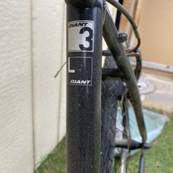 Never Used “Giant” bike 