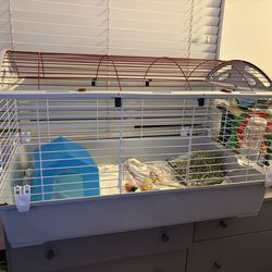 Guinea pig cage