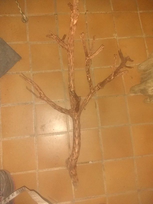 Copper Painted Cholla Cactus Skeleton