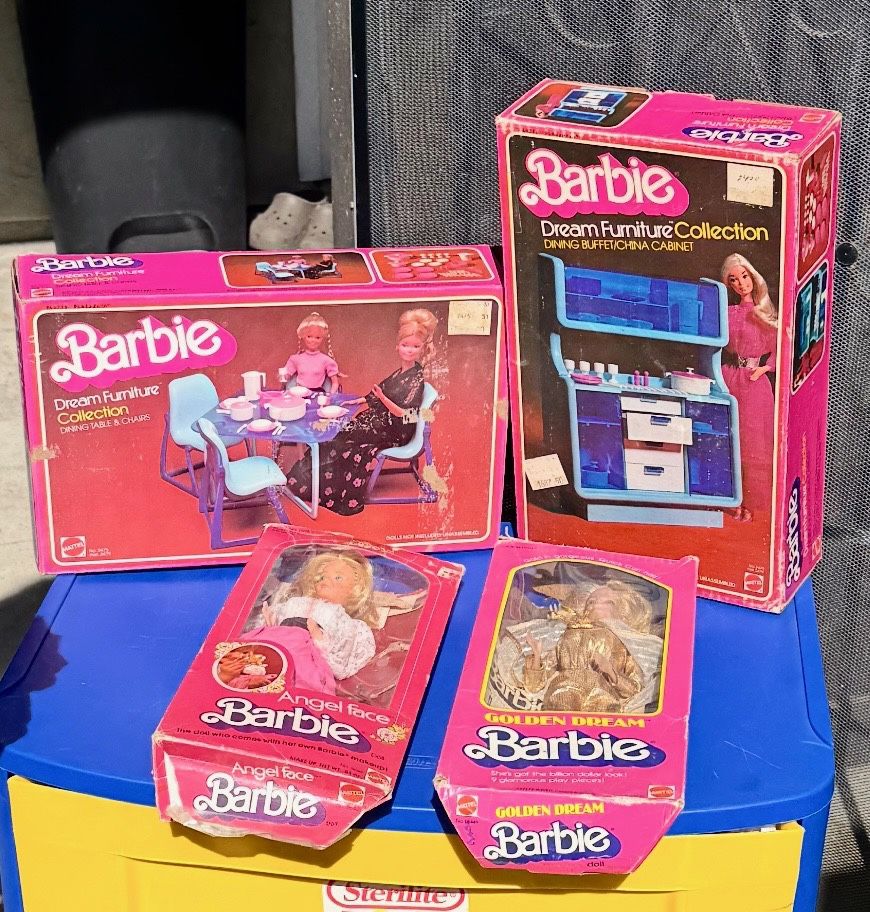 2 Barbies, Furniture And Set Of Clothes
