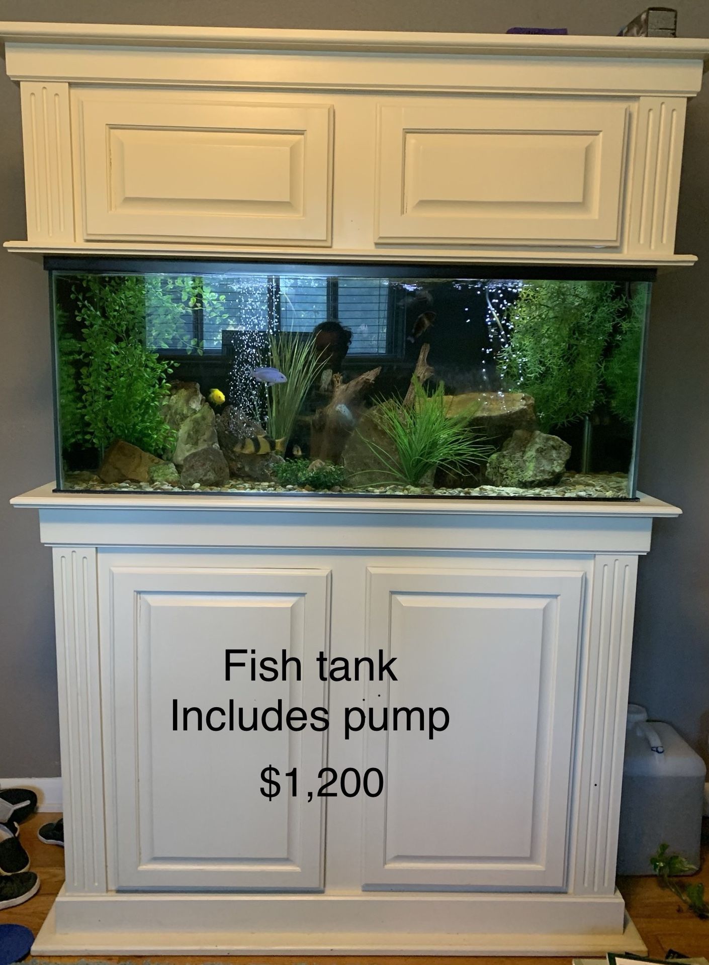 75 Gallon Fish tank (does NOT include fish)