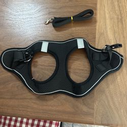 Dog Harness Or Cat Harness And Collar