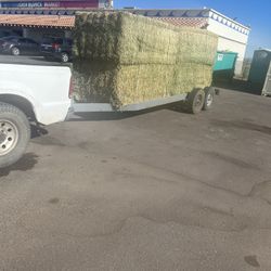 grass and hay or haylage,