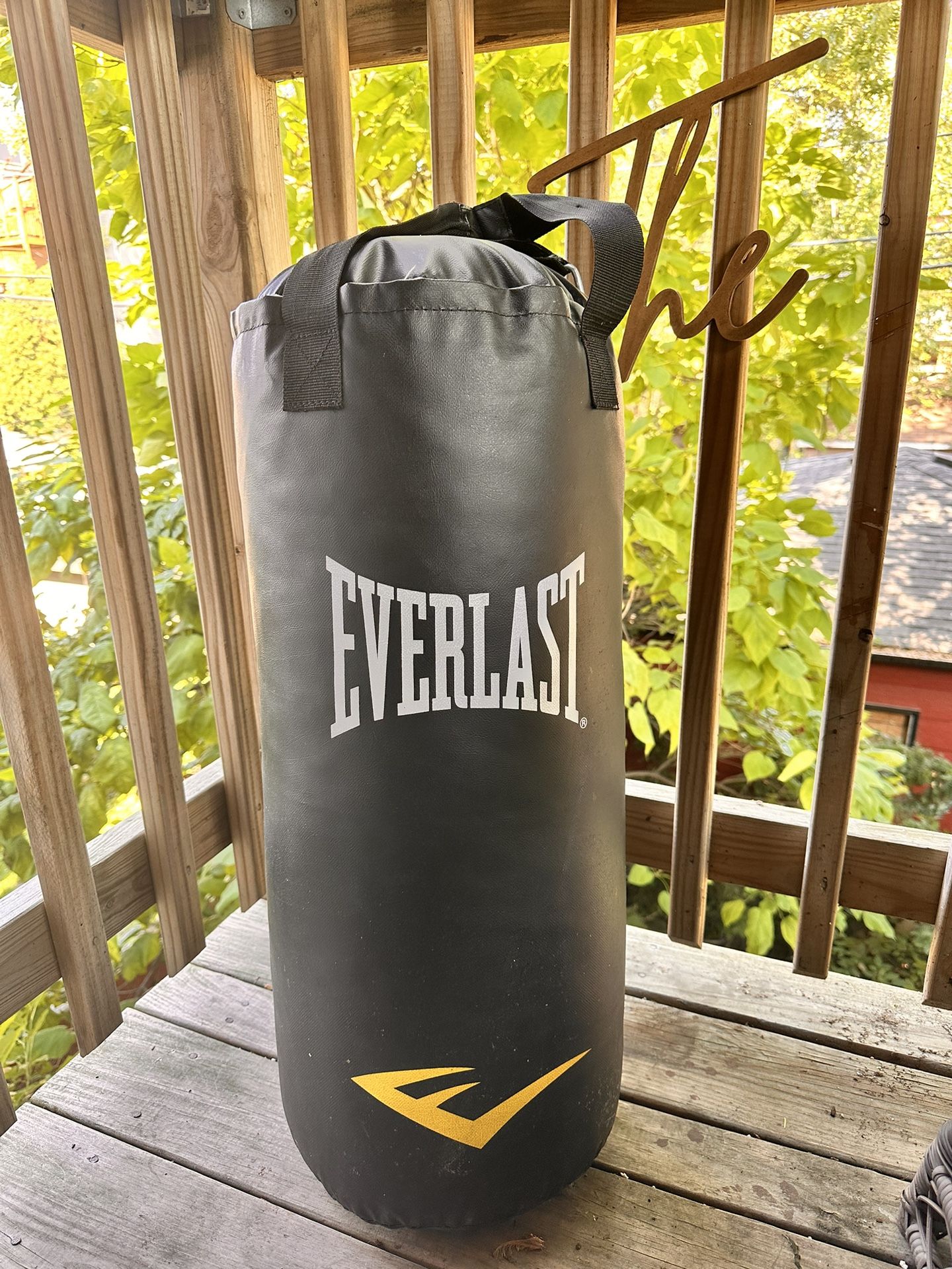 Everlast Punching Bag 40 Lbs