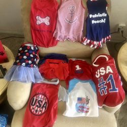 Patriotic Dog Clothes