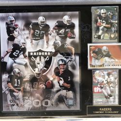Oakland Raiders 2001 Team Plaque
