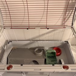 Small Animal Habitat