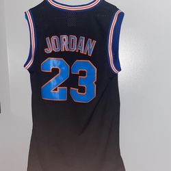 Space jam Jordan Jersey 