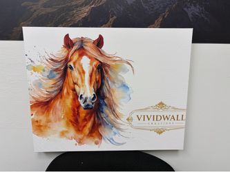 horse picture