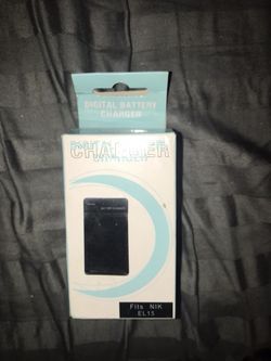 Digital battery charger (wall plug)