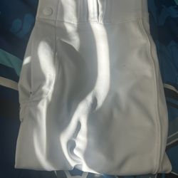Baseball Pants