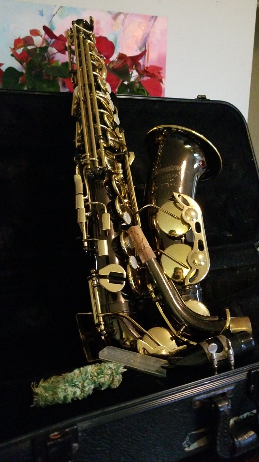 Alto Saxophone (3008A Armstrong)