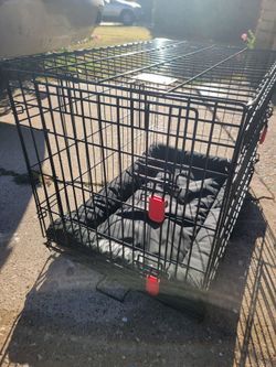 KONG Ultra-Strong & Durable Double Door Wire Dog Crate