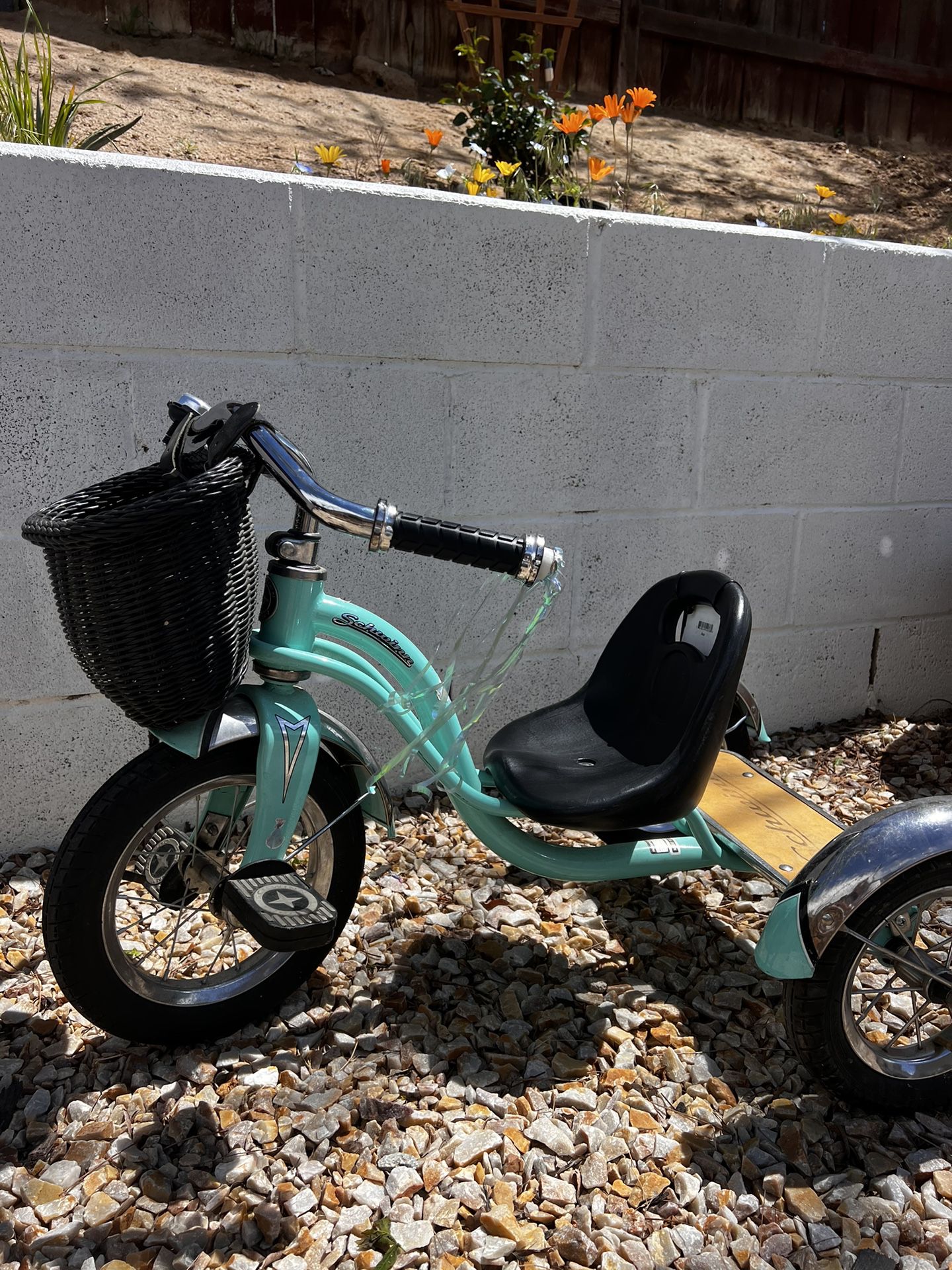 Schwinn Roadster Bike For Toddlers