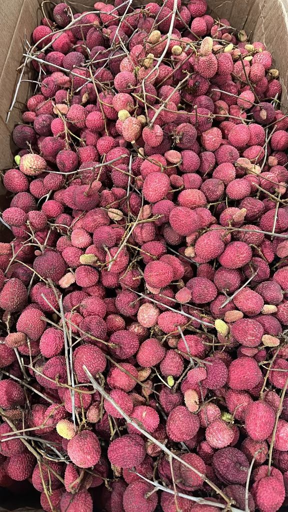 Lychee