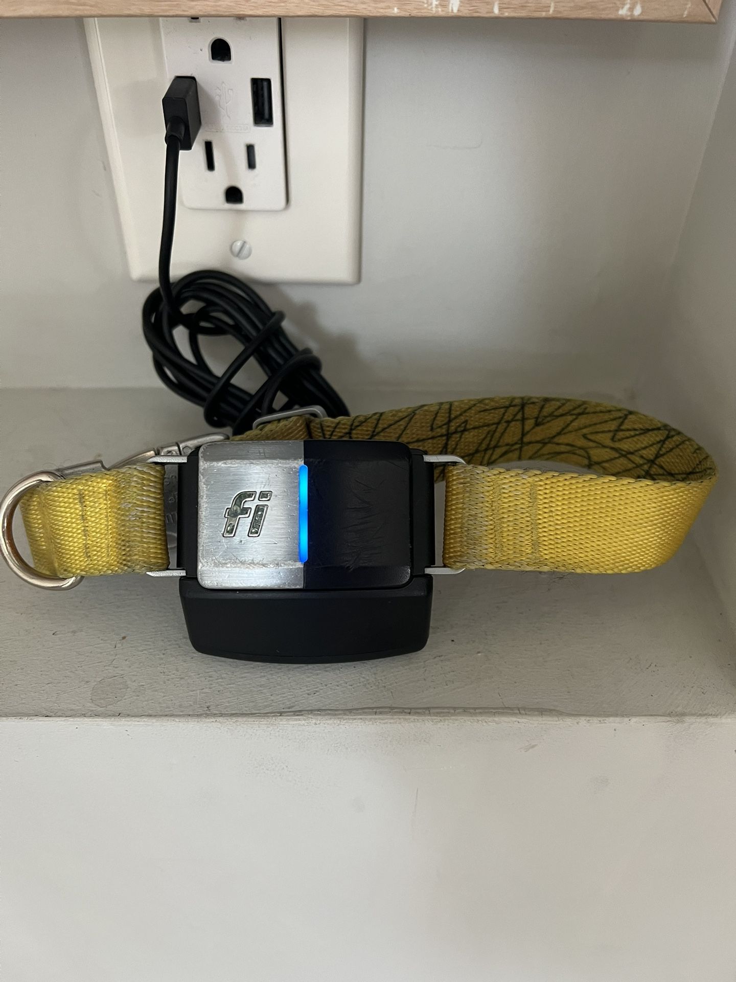 GPS Dog Caller (Brand: Fi) (Working Condition But Needs Base)