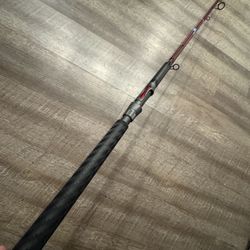 New Carbon US Surf Fishing 9’6”med Rod. Two Piece. 