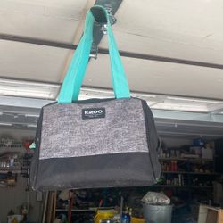 Igloo Lunch Bag