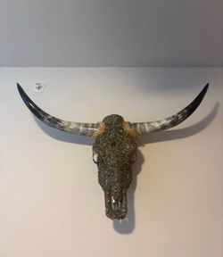 Bejeweled Authentic Longhorn Skull from Buc-ee’s