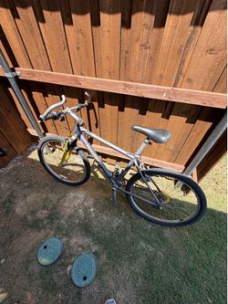 Mountain bike