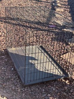 Large dog crate