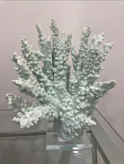 Coastal Corral Reef