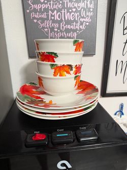 Fall Dinnerware 8 pieces