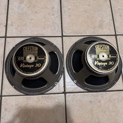 Celestion Vintage 30 Speakers
