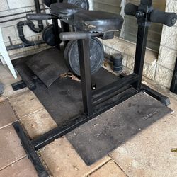 Hyper Back Extension  -Best Offer