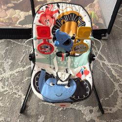 Baby Bouncer