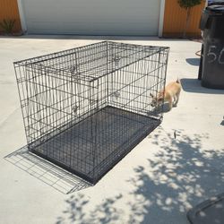 Large Dog Crate 48 In By 30 In