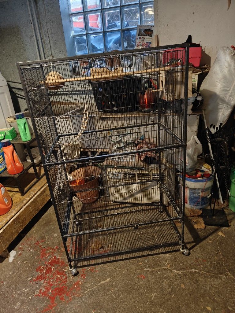 Bird Cage