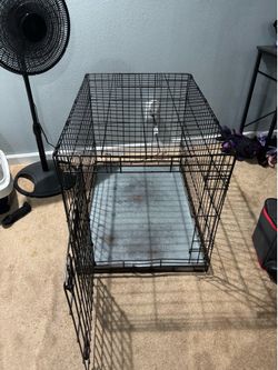 dog crate