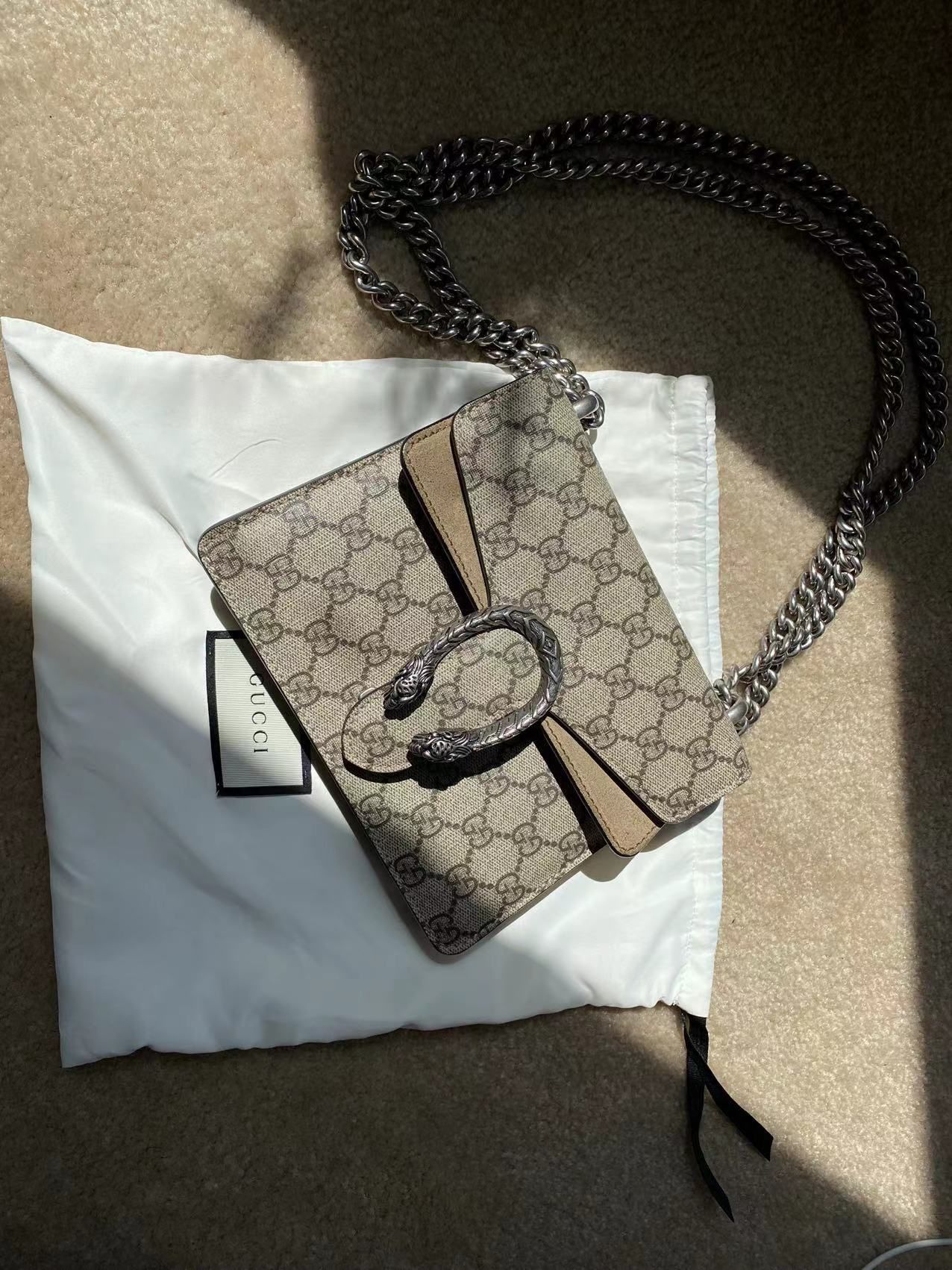 Gucci Dionysus mini