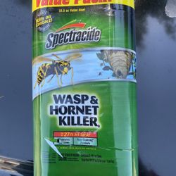Wasp &Hornet Killer Spray 