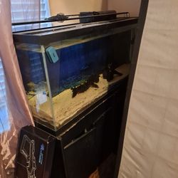 Large Fish Aquarium W/ Stand