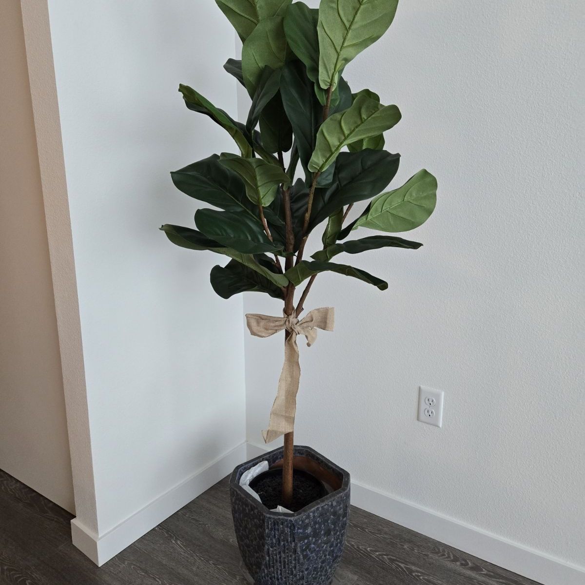 Silk Fiddle Leaf Fig Plant Plus Ceramic Pot