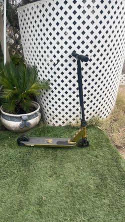 Scooter Root
