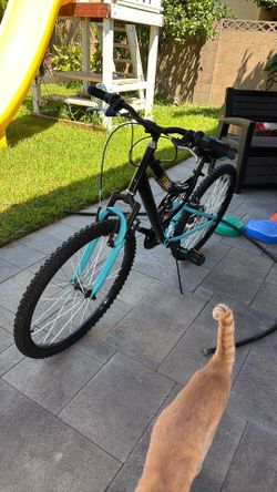 Blue customized mountain bike for sale