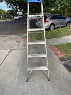 Ladder 6 feet