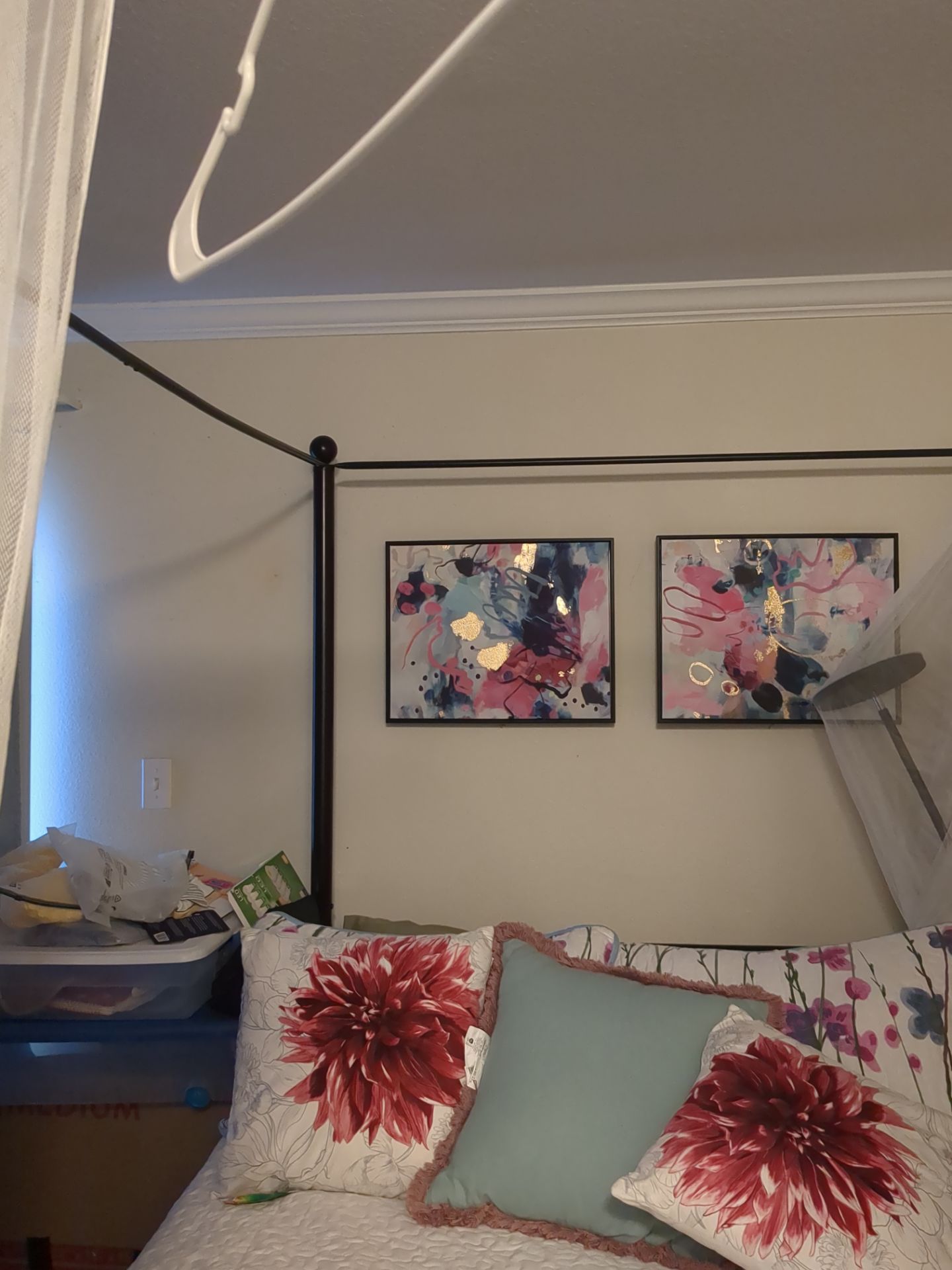 Canopy black frame Bed