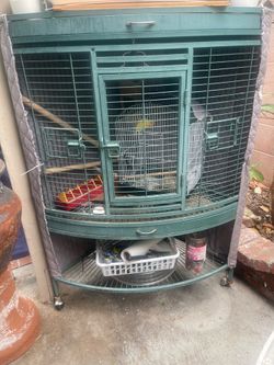 Bird Cages
