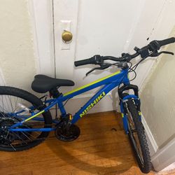 Nishiki Mountain Bike