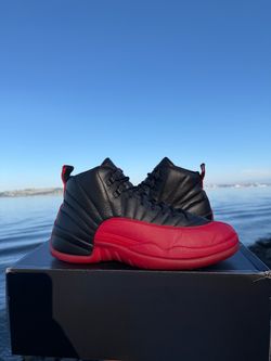 Air Jordan retro 12 flu game size 9.5