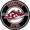 Jimnazty_Kicks LLC 