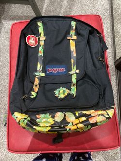 Back pack