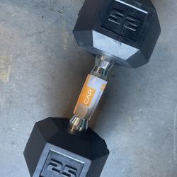 4  25lb Dumbbells 