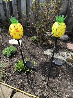 Garden Pineapple Decorations