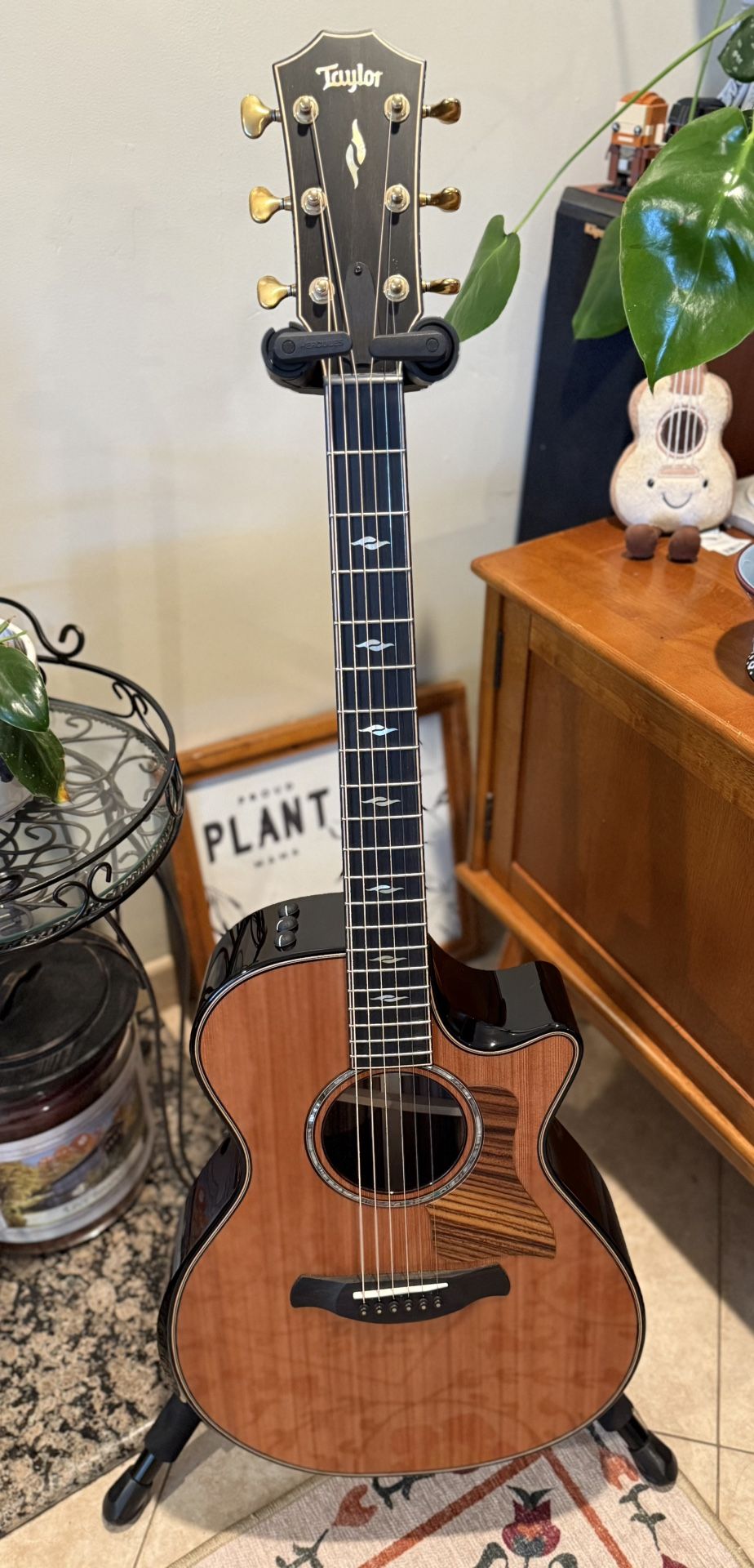 Unplayed/New : Taylor Builder's Edition 50th Anniversary 812ce LTD