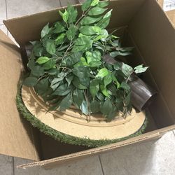 Cat Tree New Never Used 